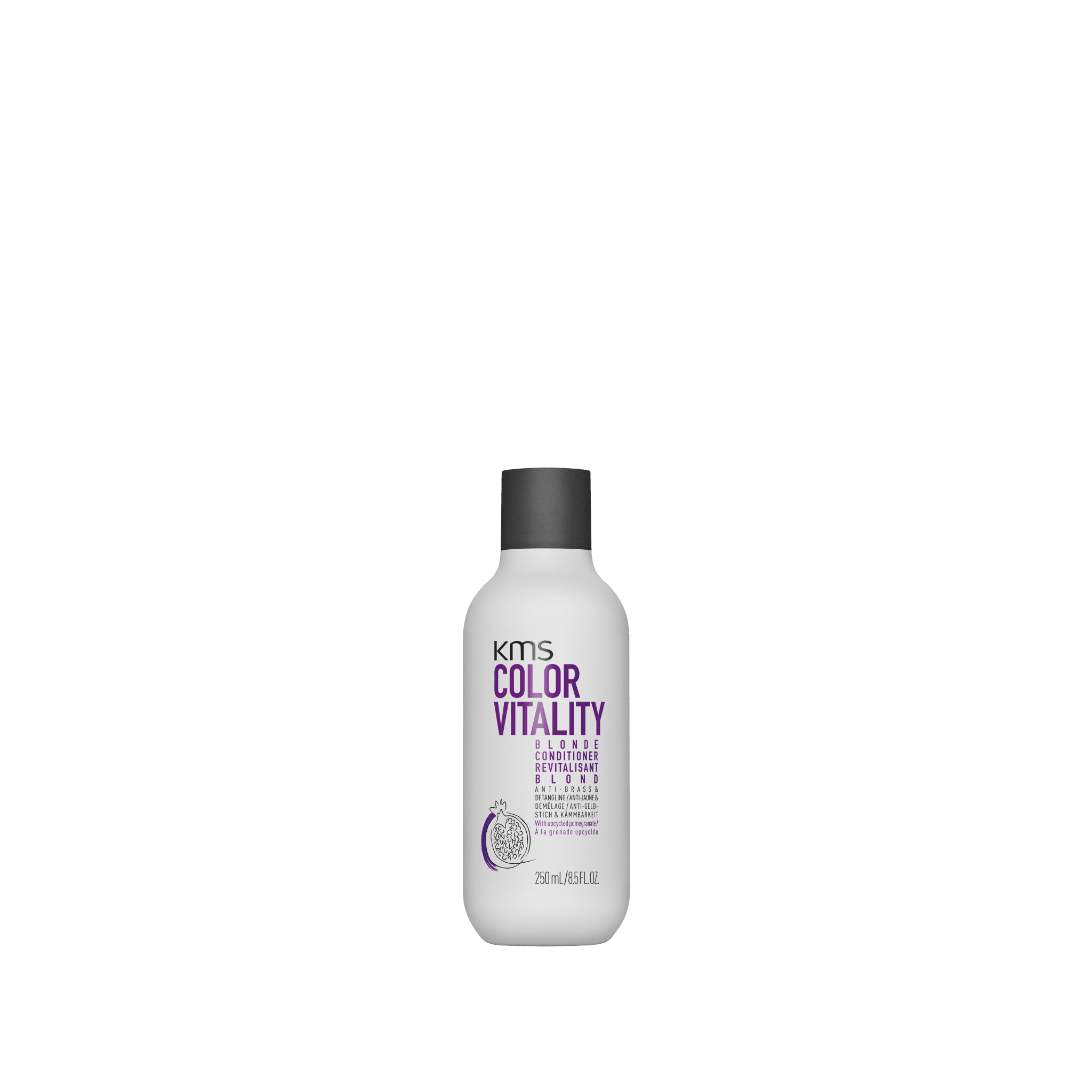 Blonde Conditioner - Hair Care