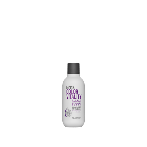 Blonde Conditioner - Hair Care