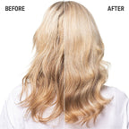 Blondes & Highlights Anti - Yellow Shampoo - Hair Care