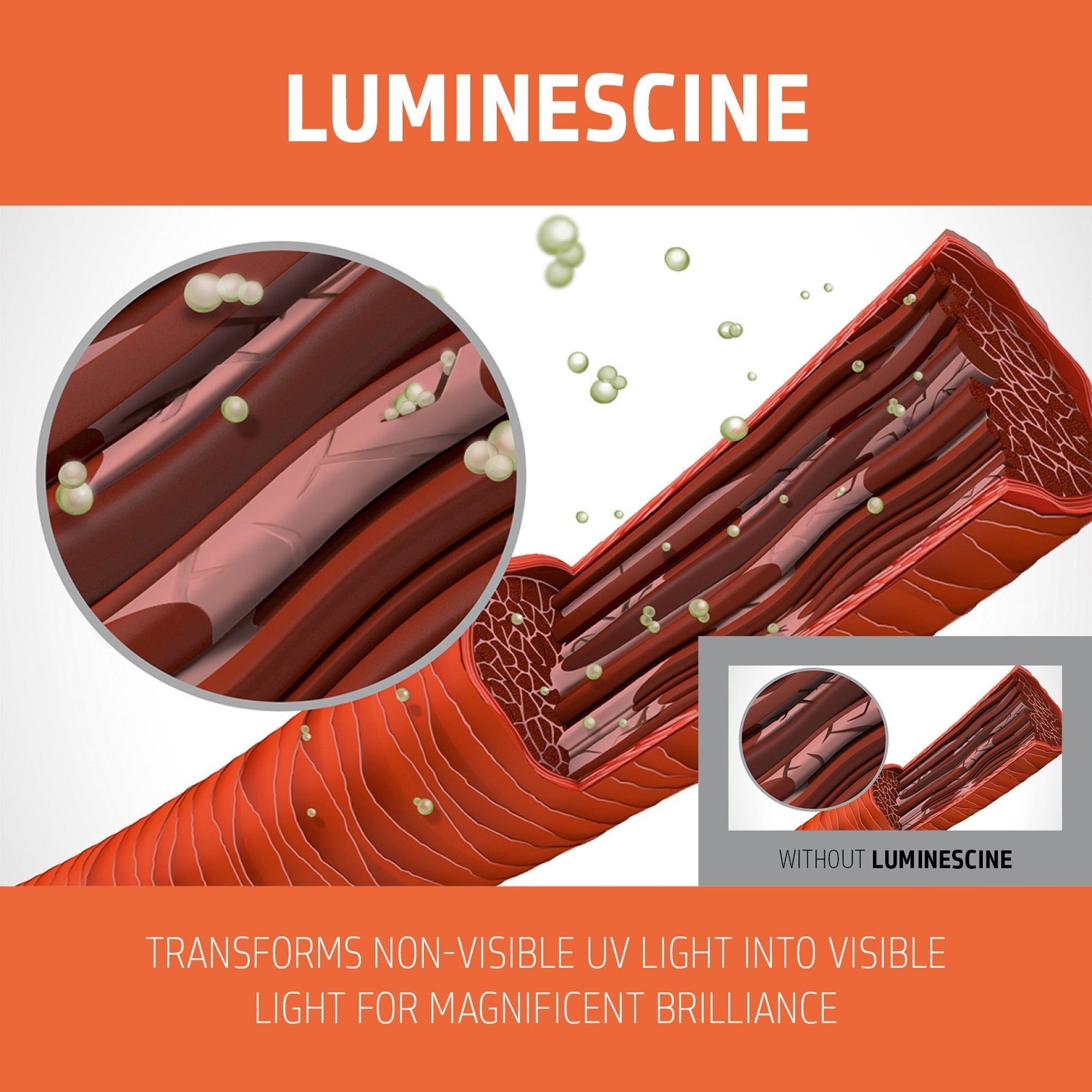 Color Revive Color Conditioner Cool Brown - Hair Care