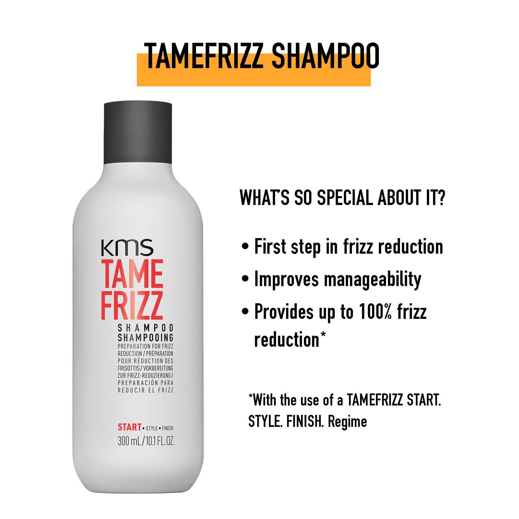 Frizz Control Smoothing System - Bundle