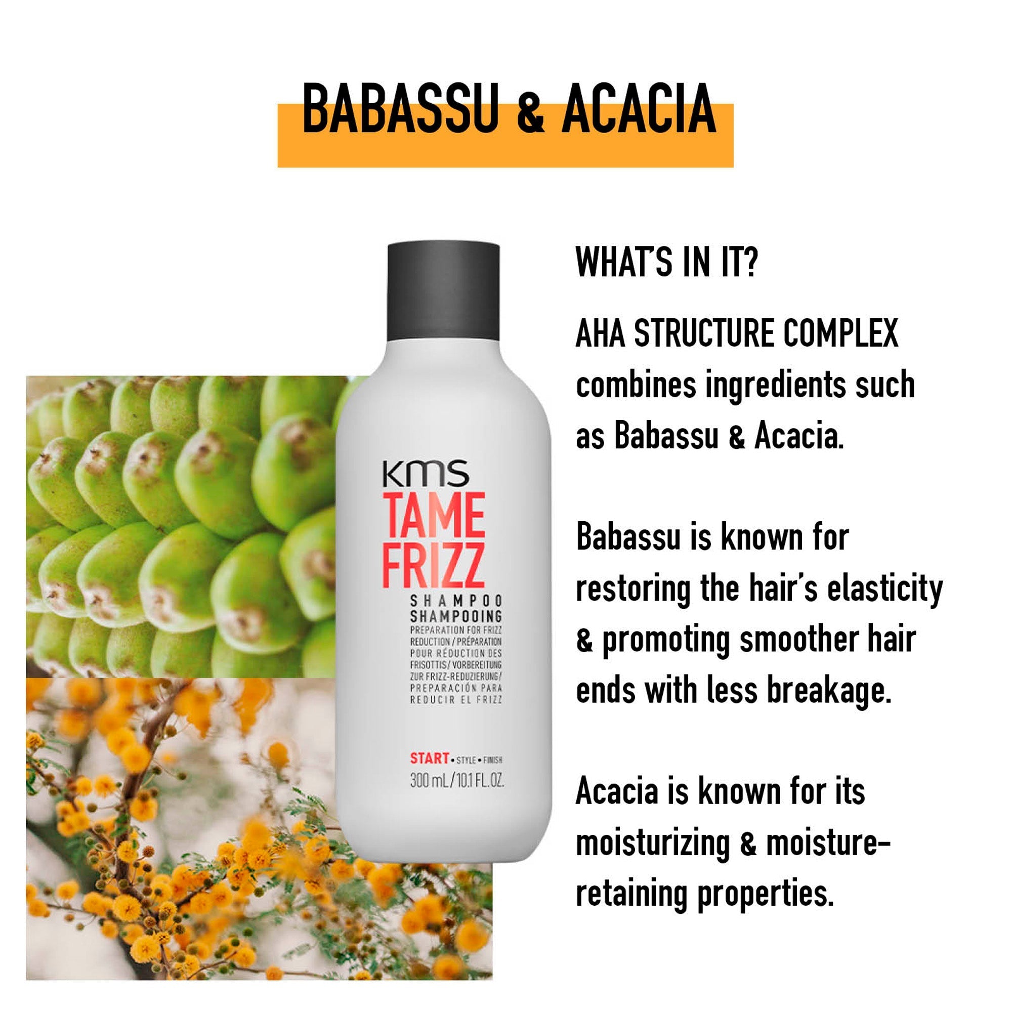 Frizz Control Smoothing System - Bundle