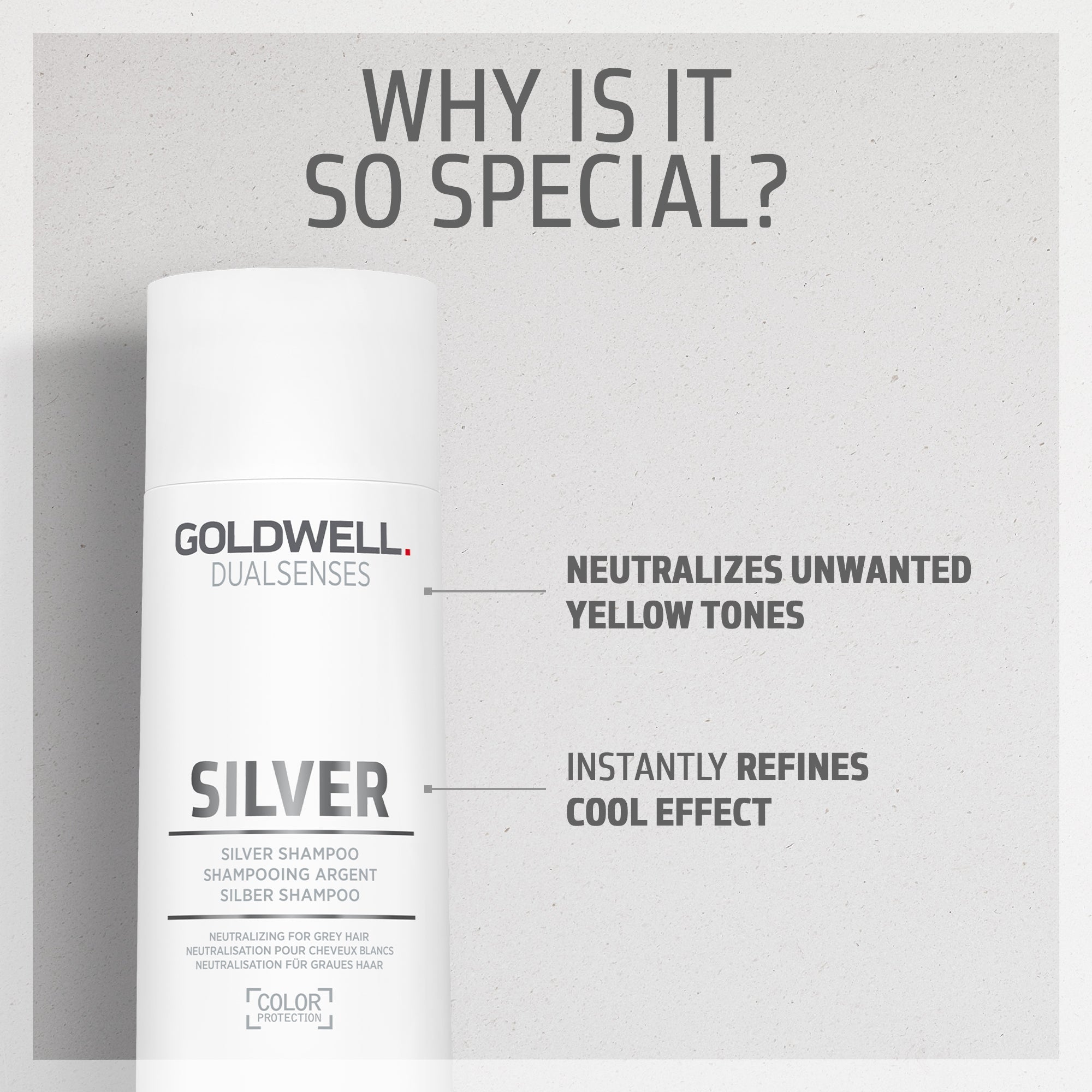 Silver Shampoo - Hair Care